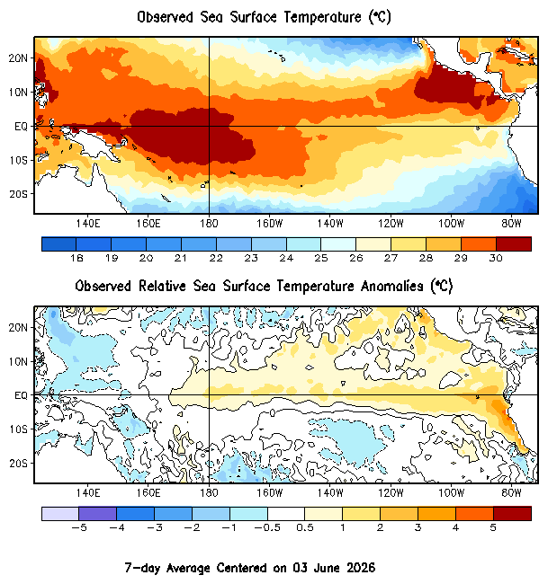 Weekly SST Anomaly