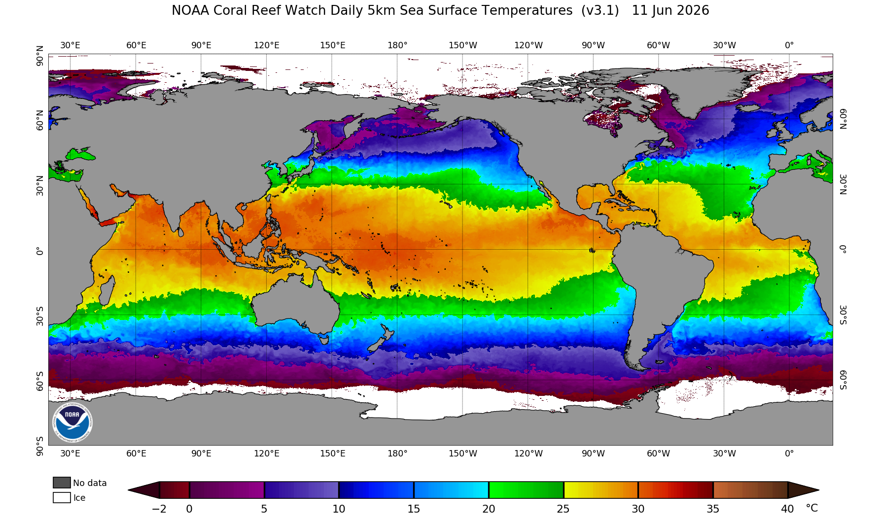 Daily SST